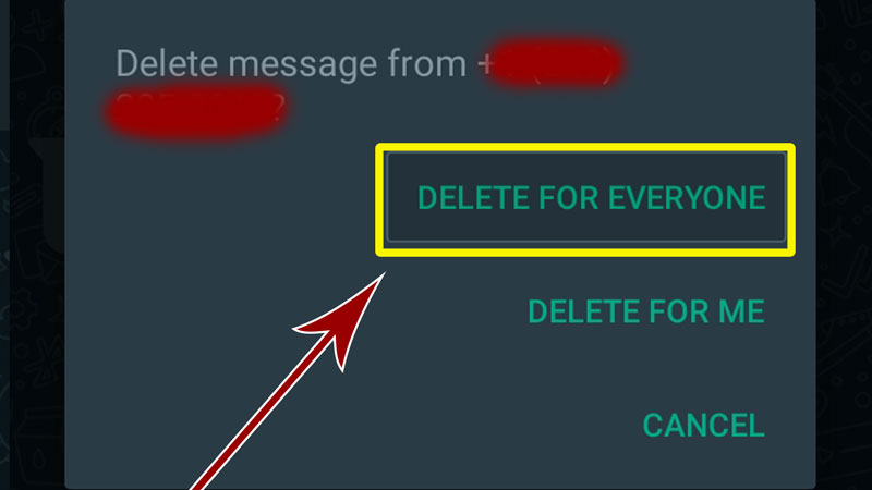 Elimina per tutti nel gruppo WhatsApp